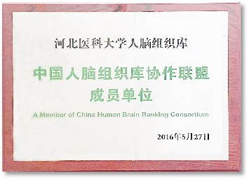 1697245722599097292.jpg