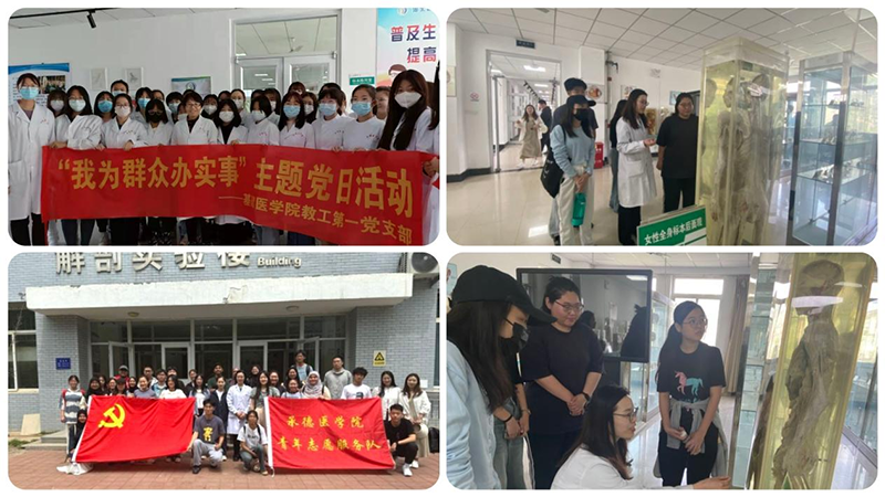 图片19.png