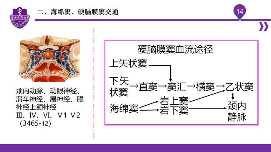 004脑室、脑膜、脑池、脑脊液_16.jpg