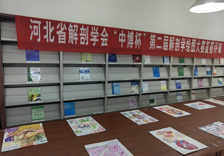 主图.png